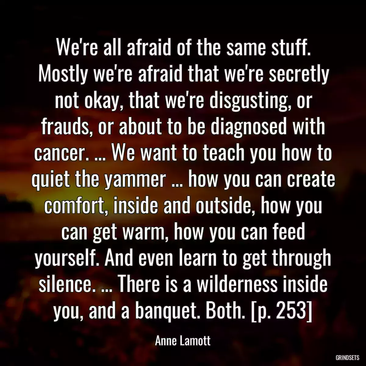 We\'re all afraid of the same stuff. Mostly we\'re afraid that we\'re secretly not okay, that we\'re disgusting, or frauds, or about to be diagnosed with cancer. ... We want to teach you how to quiet the yammer ... how you can create comfort, inside and outside, how you can get warm, how you can feed yourself. And even learn to get through silence. ... There is a wilderness inside you, and a banquet. Both. [p. 253]