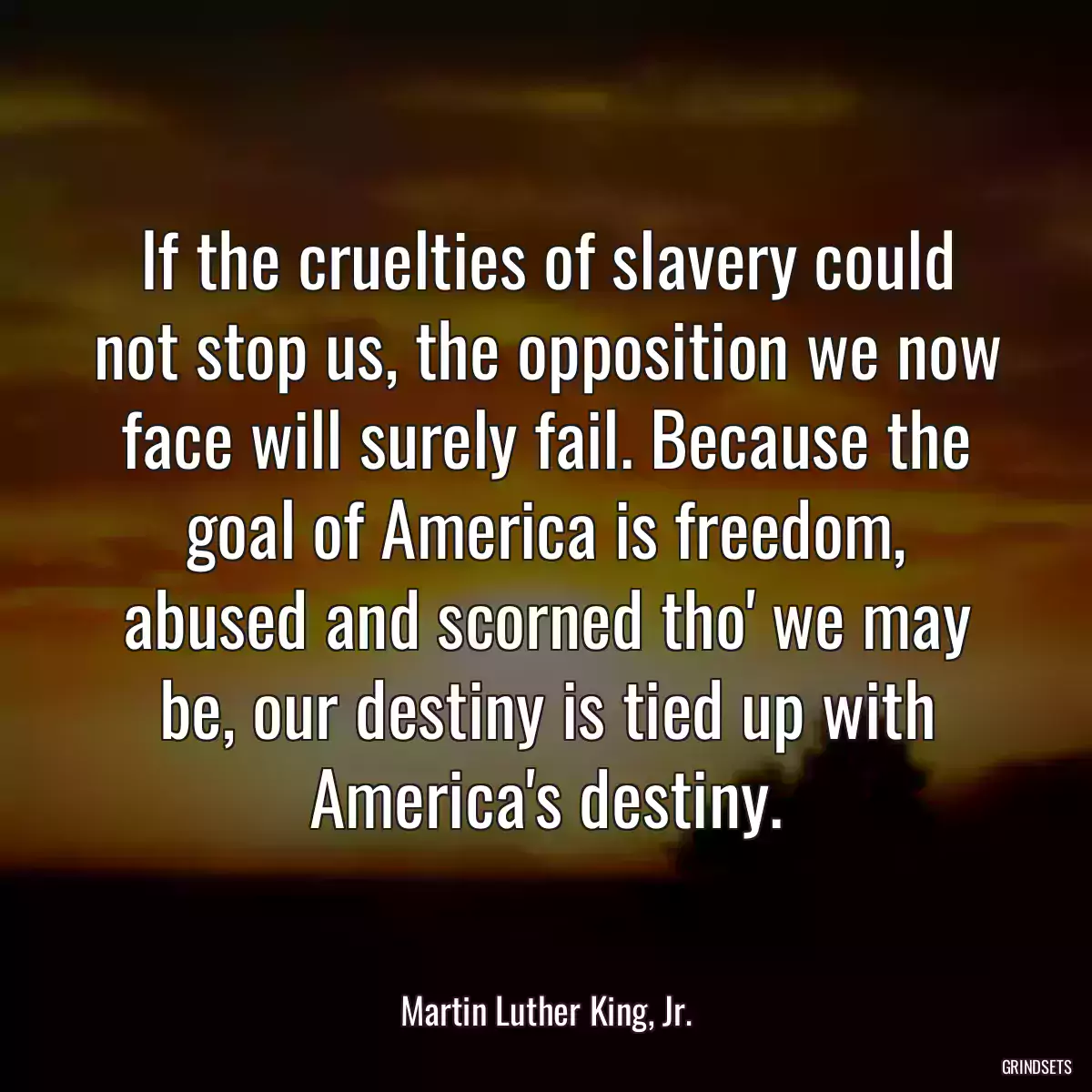 If the cruelties of slavery could not stop us, the opposition we now face will surely fail. Because the goal of America is freedom, abused and scorned tho\' we may be, our destiny is tied up with America\'s destiny.