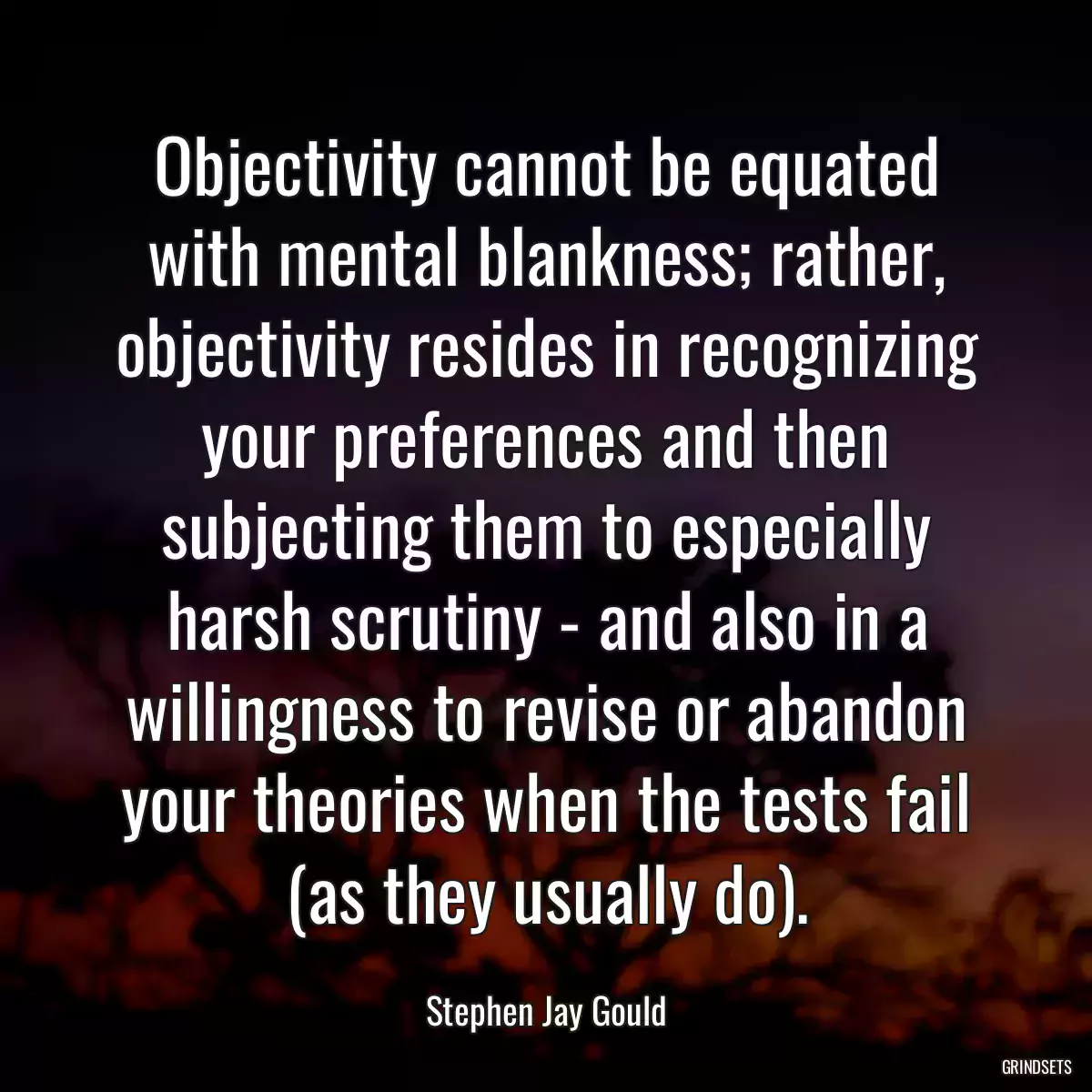 Objectivity cannot be equated with mental blankness; rather, objectivity resides in recognizing your preferences and then subjecting them to especially harsh scrutiny - and also in a willingness to revise or abandon your theories when the tests fail (as they usually do).