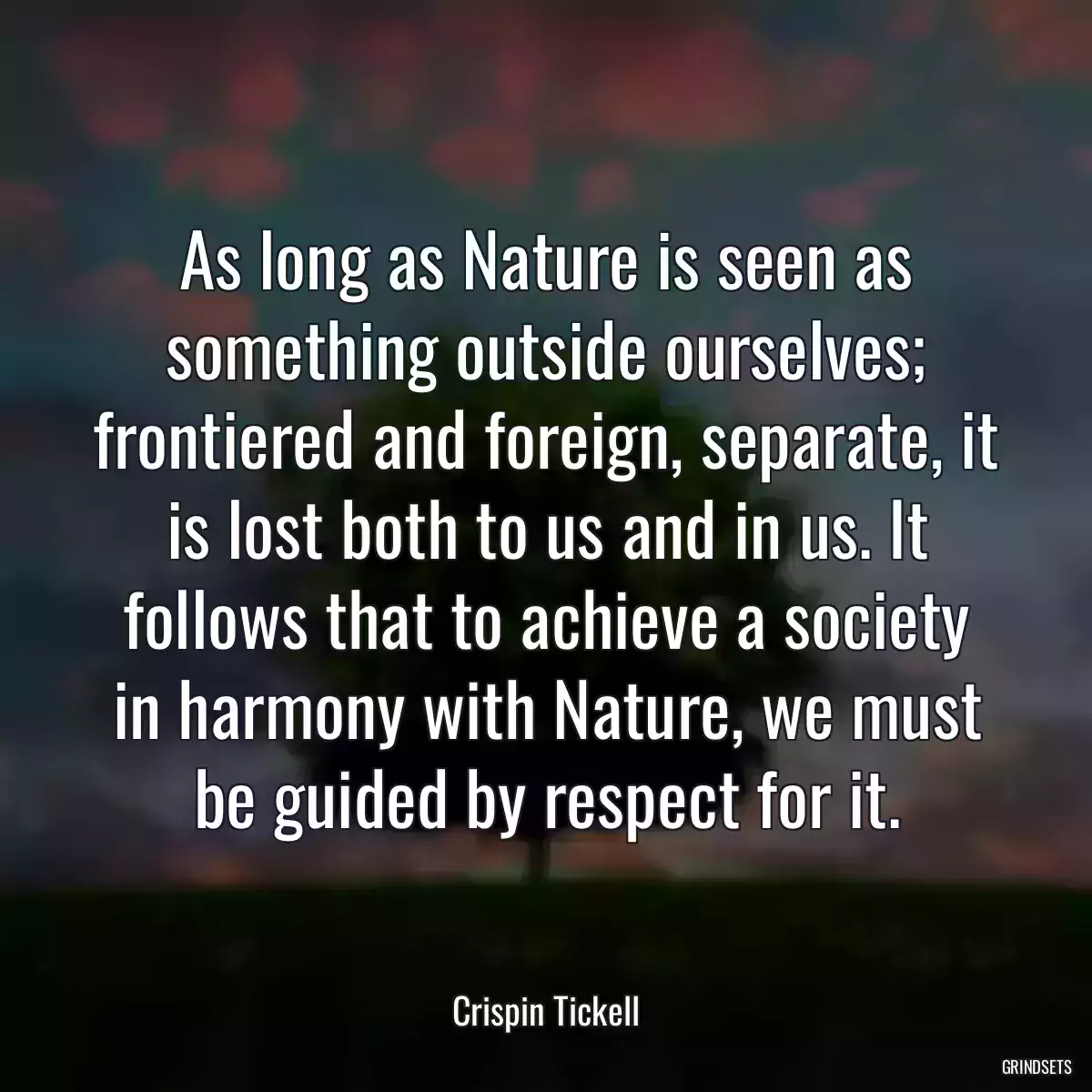 As long as Nature is seen as something outside ourselves; frontiered and foreign, separate, it is lost both to us and in us. It follows that to achieve a society in harmony with Nature, we must be guided by respect for it.
