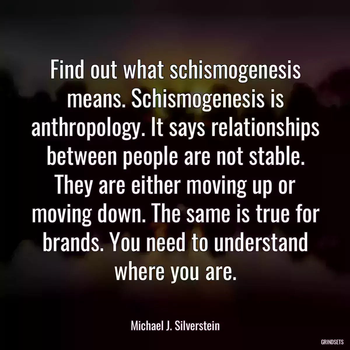 Find out what schismogenesis means. Schismogenesis is anthropology. It says relationships between people are not stable. They are either moving up or moving down. The same is true for brands. You need to understand where you are.