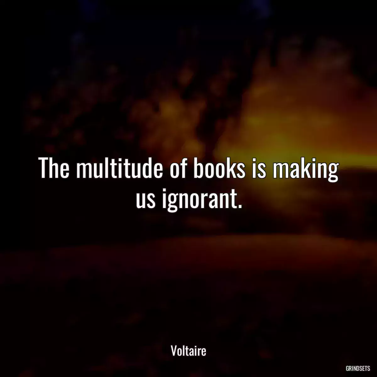 The multitude of books is making us ignorant.