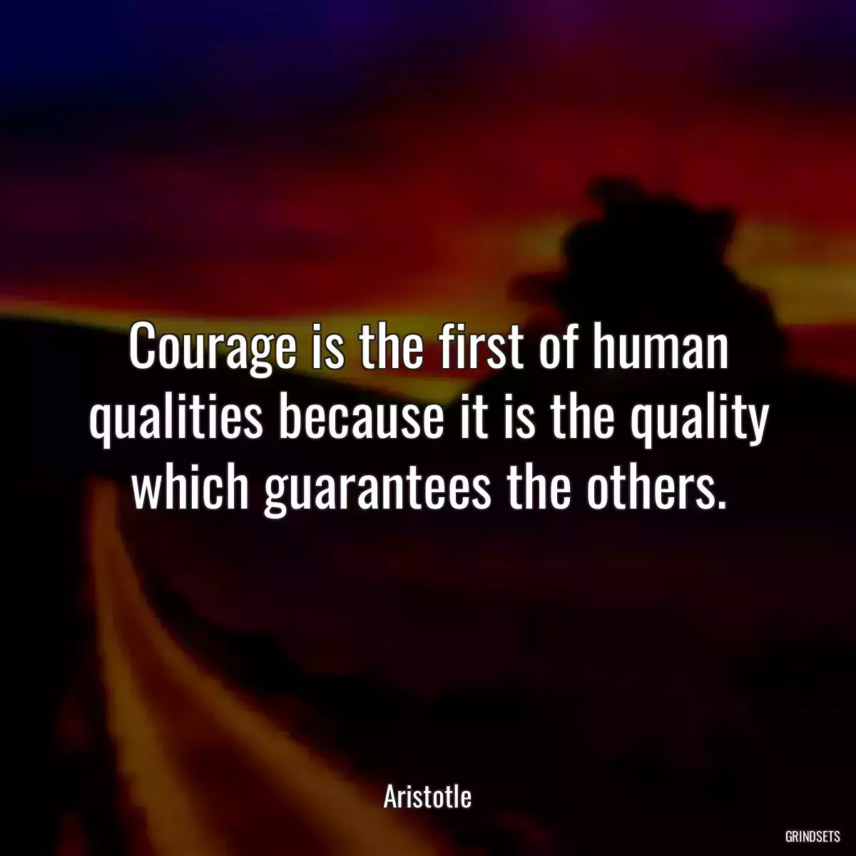 Courage is the first of human qualities because it is the quality which guarantees the others.