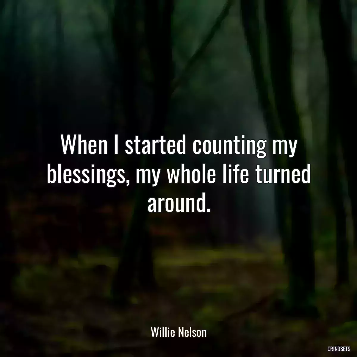 When I started counting my blessings, my whole life turned around.