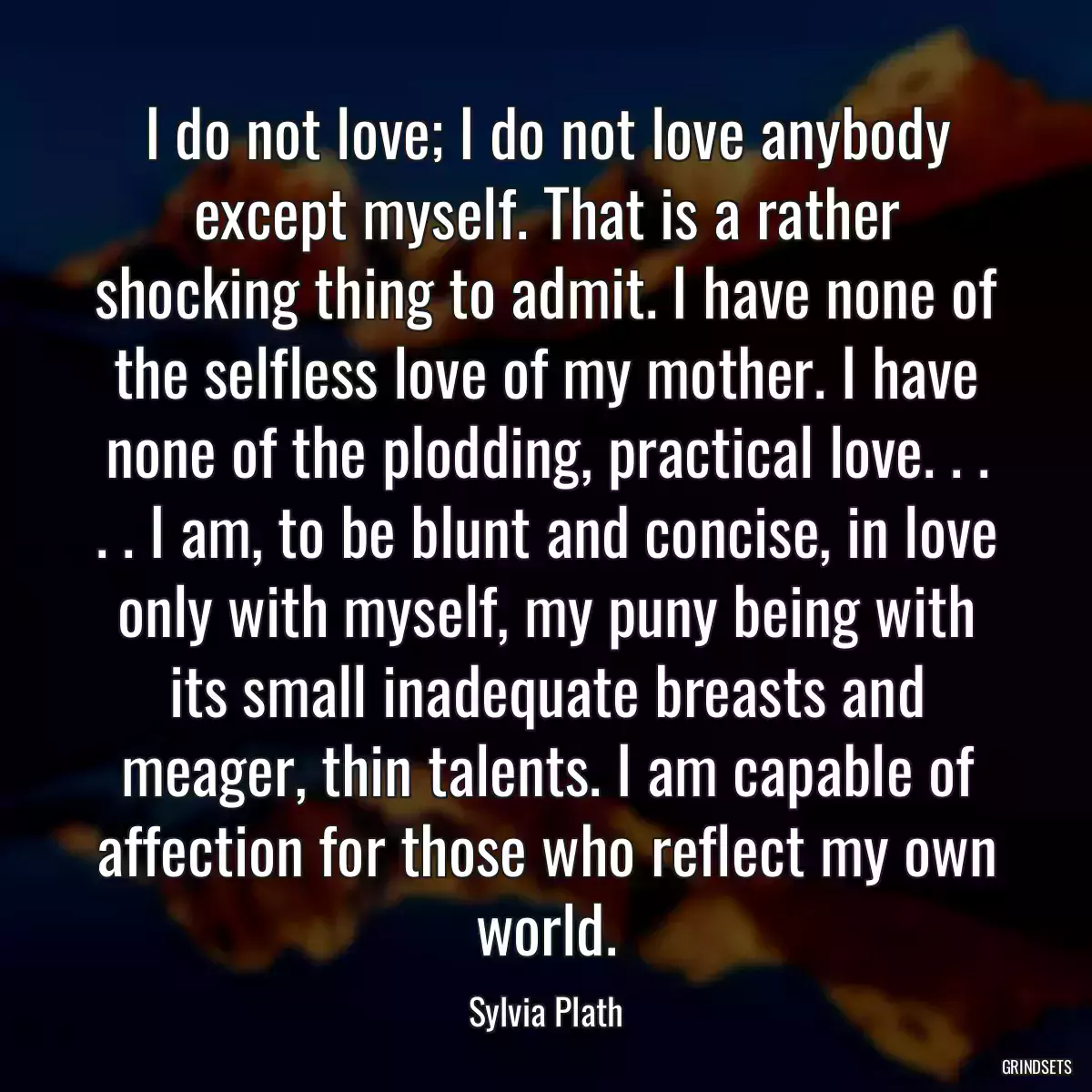 I do not love; I do not love anybody except myself. That is a rather shocking thing to admit. I have none of the selfless love of my mother. I have none of the plodding, practical love. . . . . I am, to be blunt and concise, in love only with myself, my puny being with its small inadequate breasts and meager, thin talents. I am capable of affection for those who reflect my own world.