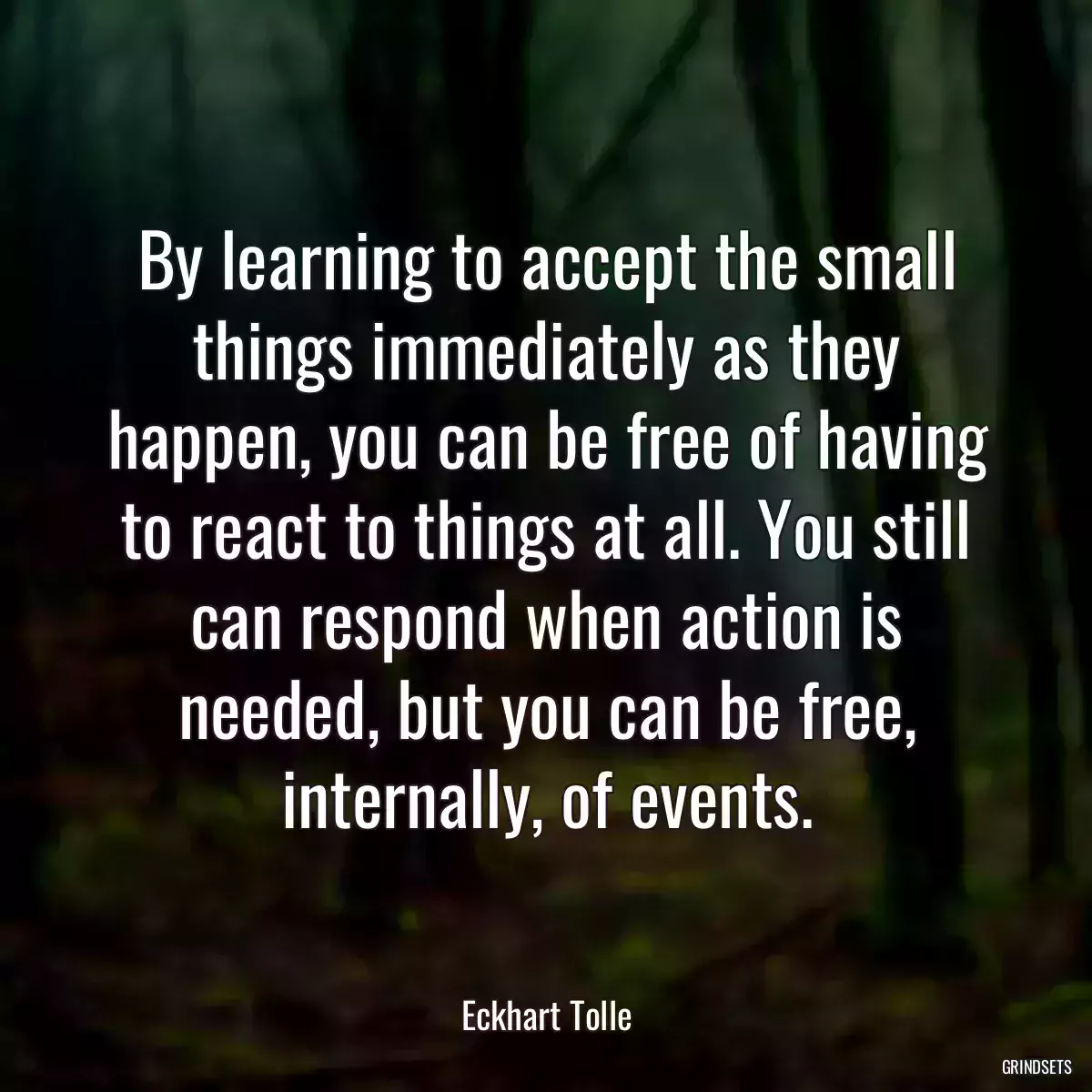 By learning to accept the small things immediately as they happen, you can be free of having to react to things at all. You still can respond when action is needed, but you can be free, internally, of events.