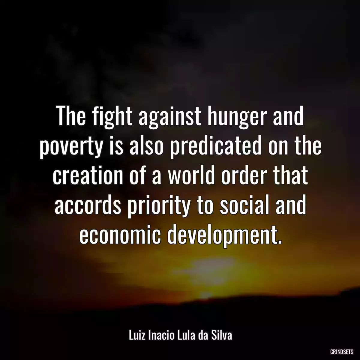 The fight against hunger and poverty is also predicated on the creation of a world order that accords priority to social and economic development.