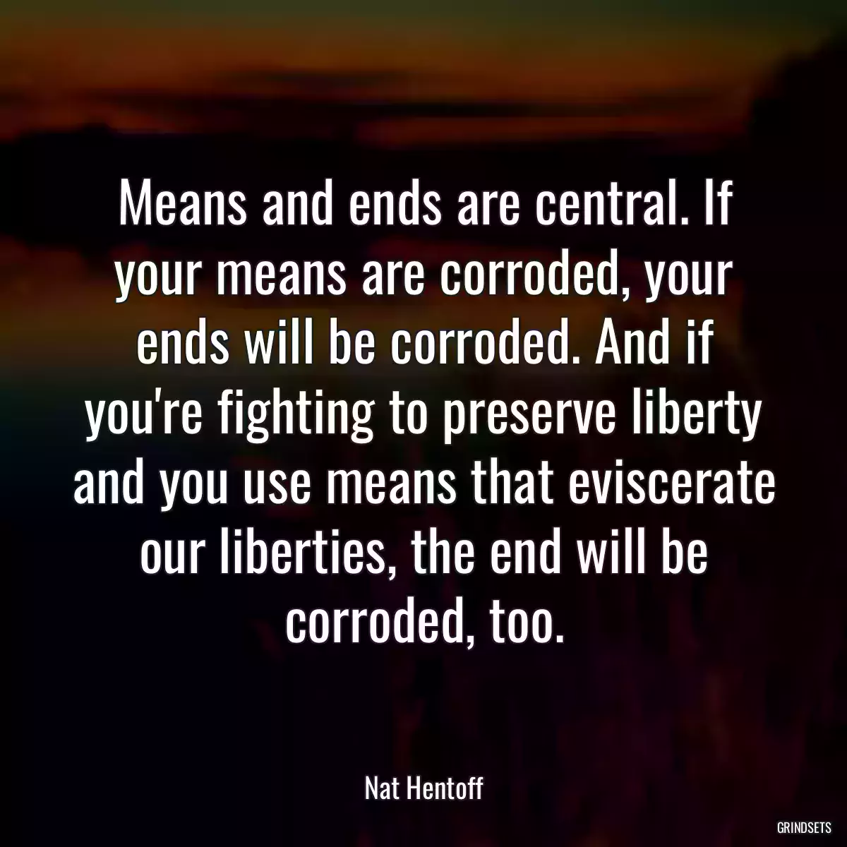 Means and ends are central. If your means are corroded, your ends will be corroded. And if you\'re fighting to preserve liberty and you use means that eviscerate our liberties, the end will be corroded, too.