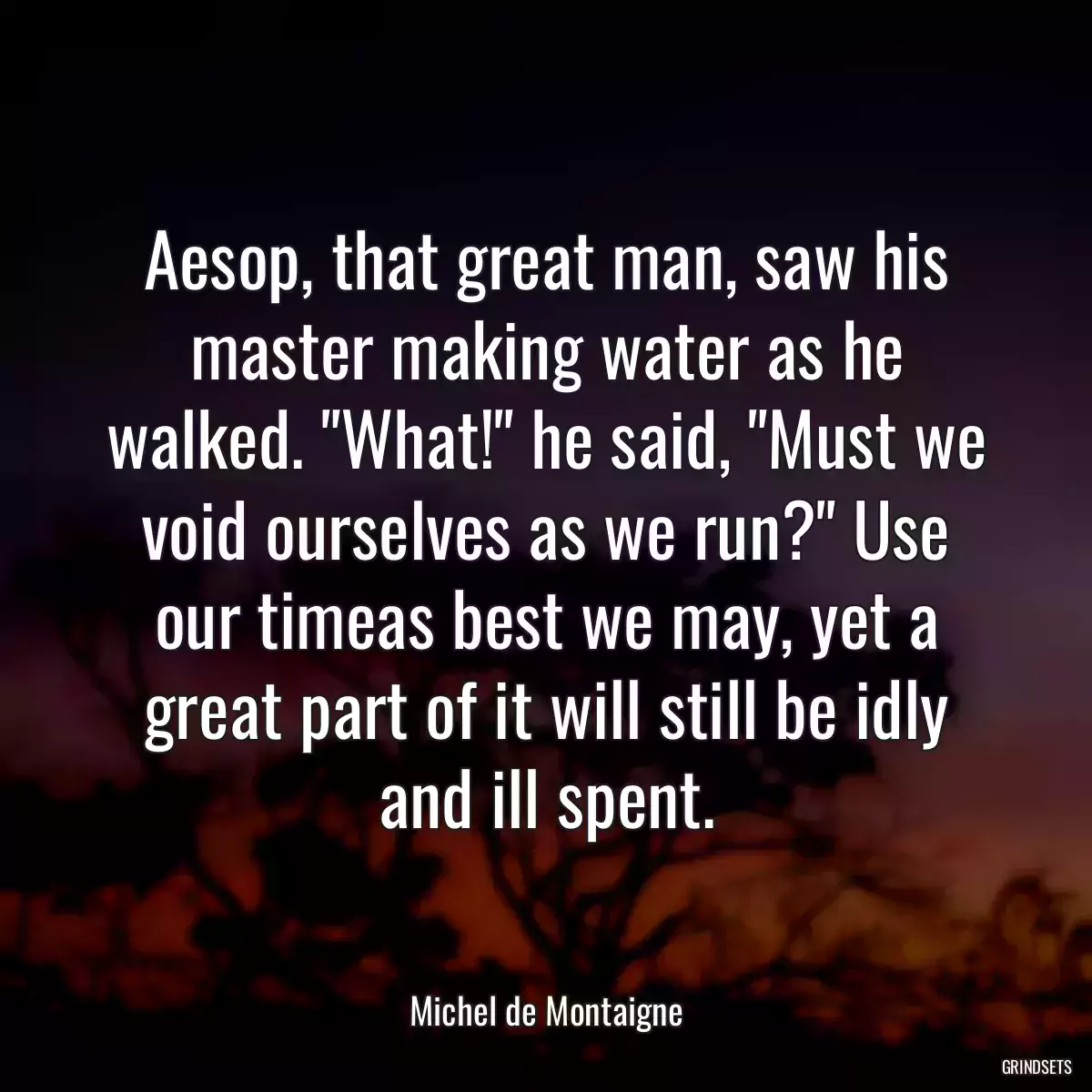 Aesop, that great man, saw his master making water as he walked. \