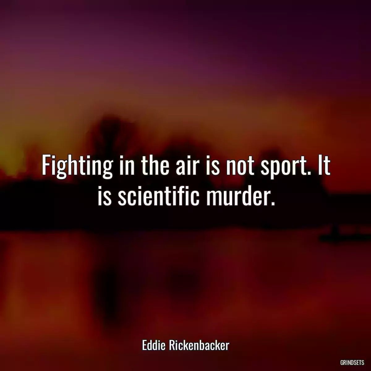 Fighting in the air is not sport. It is scientific murder.