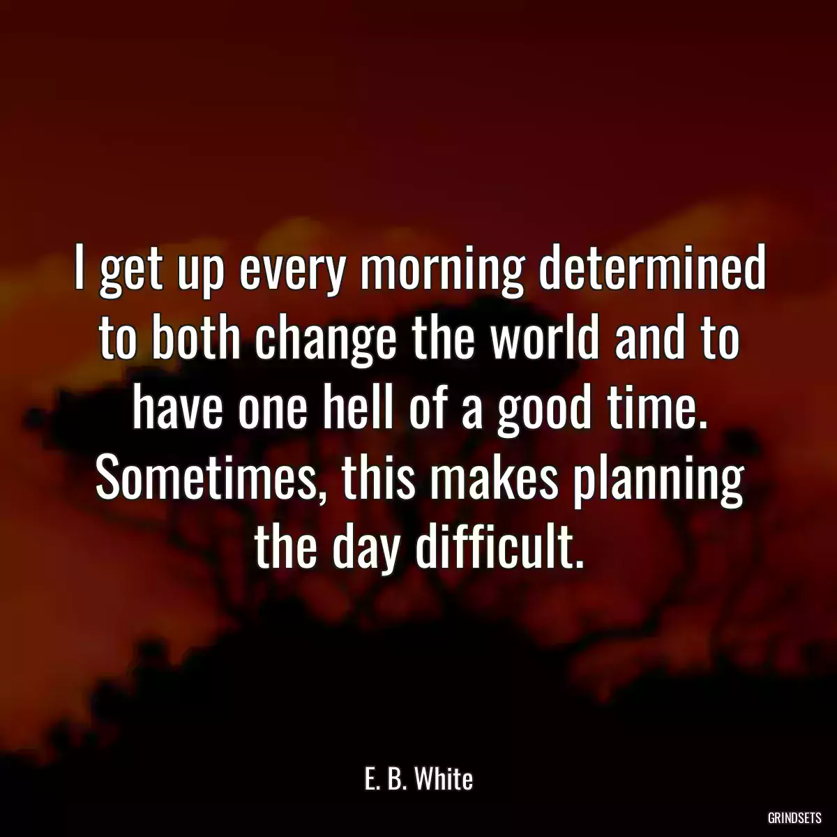 I get up every morning determined to both change the world and to have one hell of a good time. Sometimes, this makes planning the day difficult.