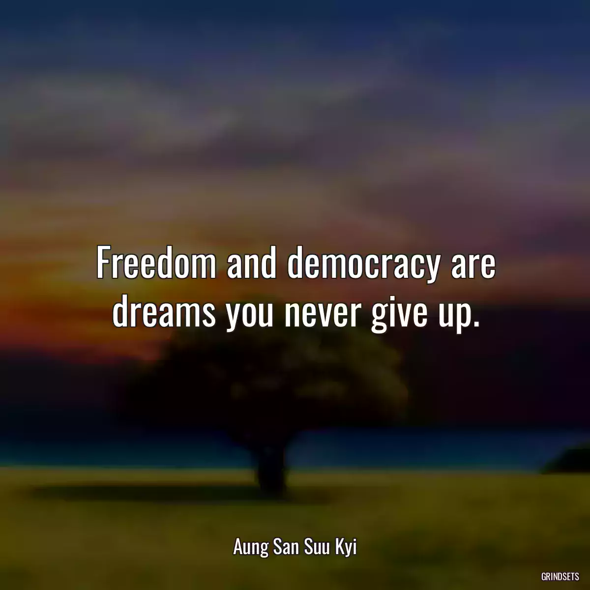 Freedom and democracy are dreams you never give up.