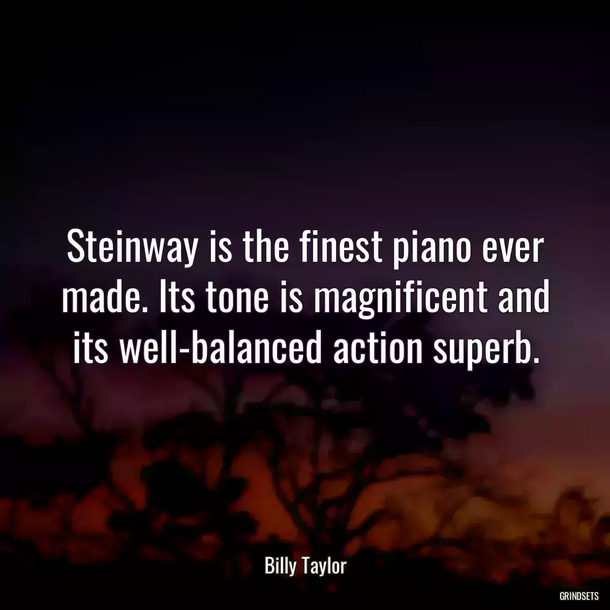 Steinway is the finest piano ever made. Its tone is magnificent and its well-balanced action superb.