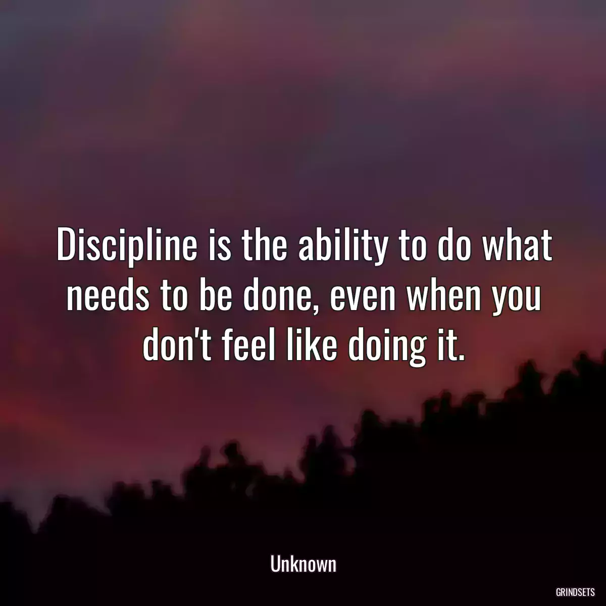 Discipline is the ability to do what needs to be done, even when you don\'t feel like doing it.