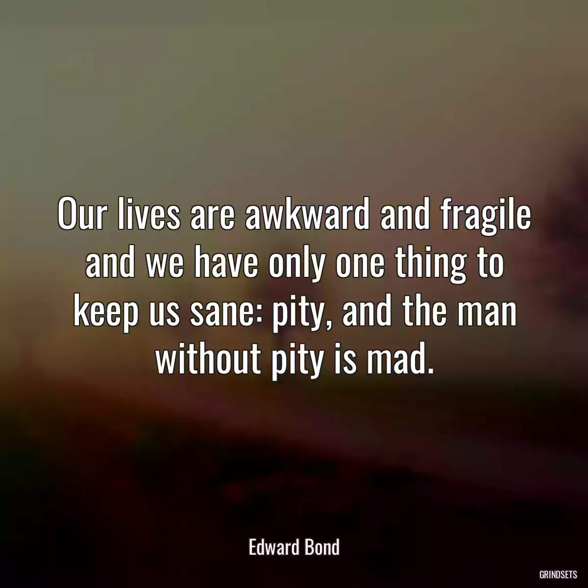 Our lives are awkward and fragile and we have only one thing to keep us sane: pity, and the man without pity is mad.