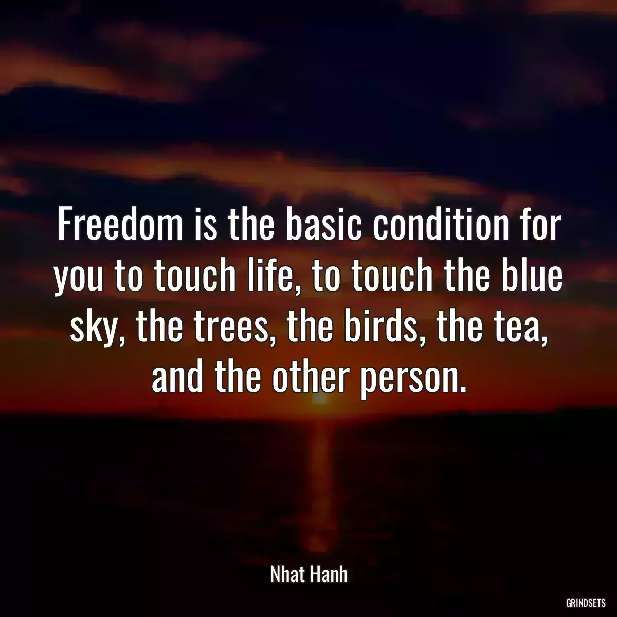 Freedom is the basic condition for you to touch life, to touch the blue sky, the trees, the birds, the tea, and the other person.