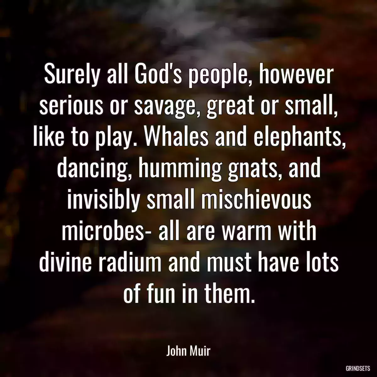 Surely all God\'s people, however serious or savage, great or small, like to play. Whales and elephants, dancing, humming gnats, and invisibly small mischievous microbes- all are warm with divine radium and must have lots of fun in them.