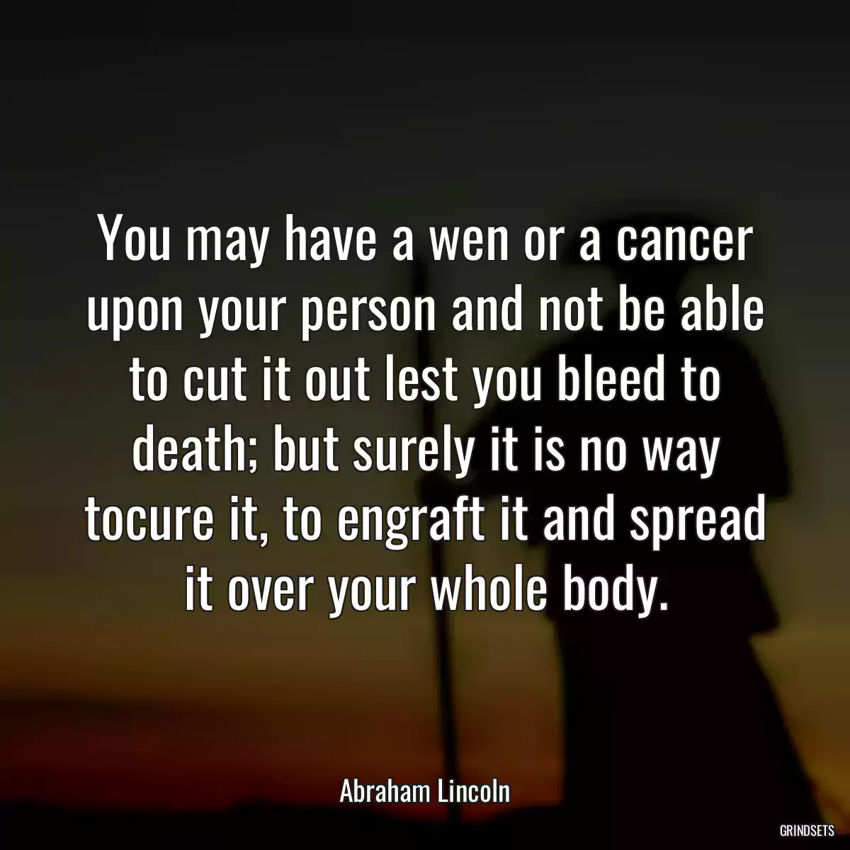 You may have a wen or a cancer upon your person and not be able to cut it out lest you bleed to death; but surely it is no way tocure it, to engraft it and spread it over your whole body.