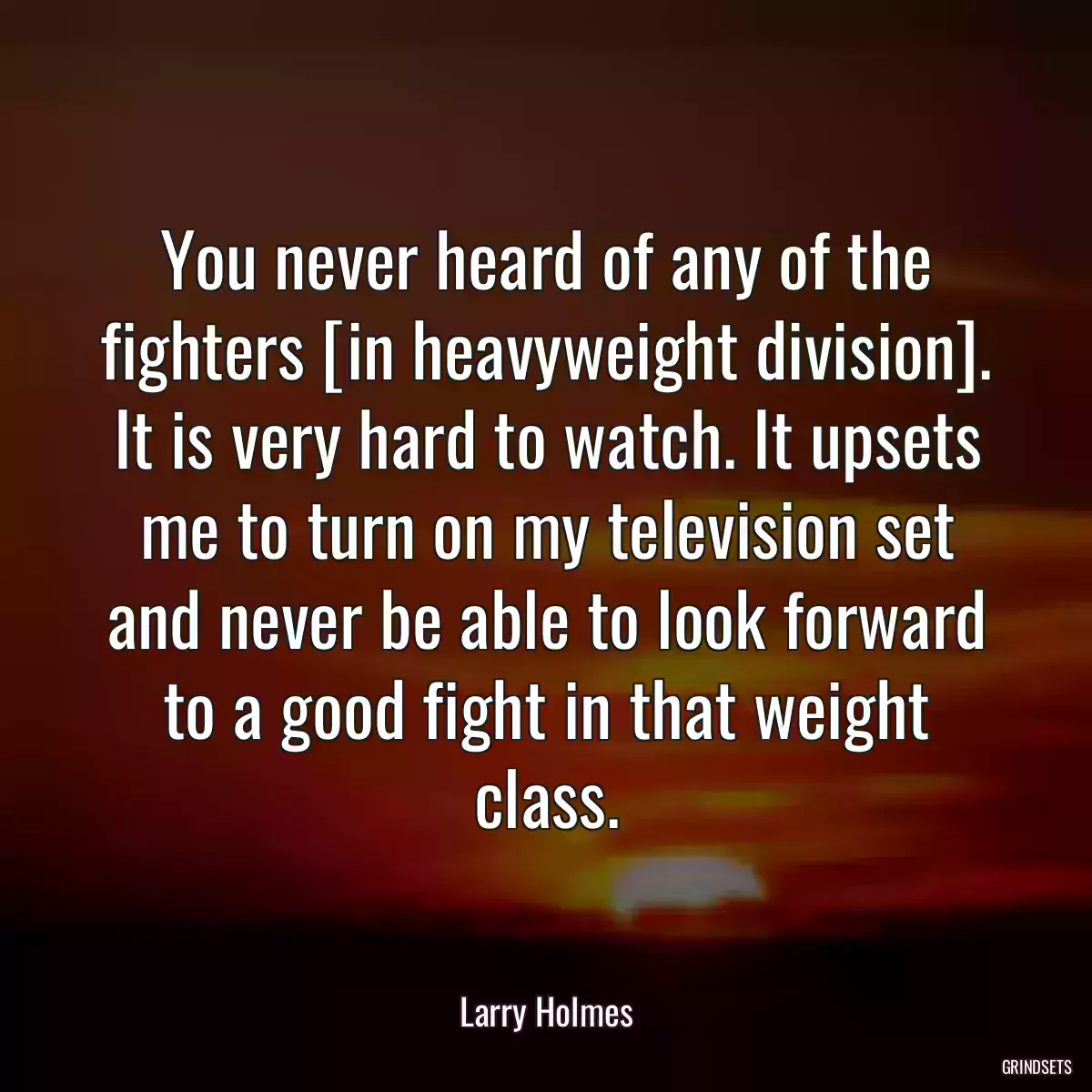 You never heard of any of the fighters [in heavyweight division]. It is very hard to watch. It upsets me to turn on my television set and never be able to look forward to a good fight in that weight class.