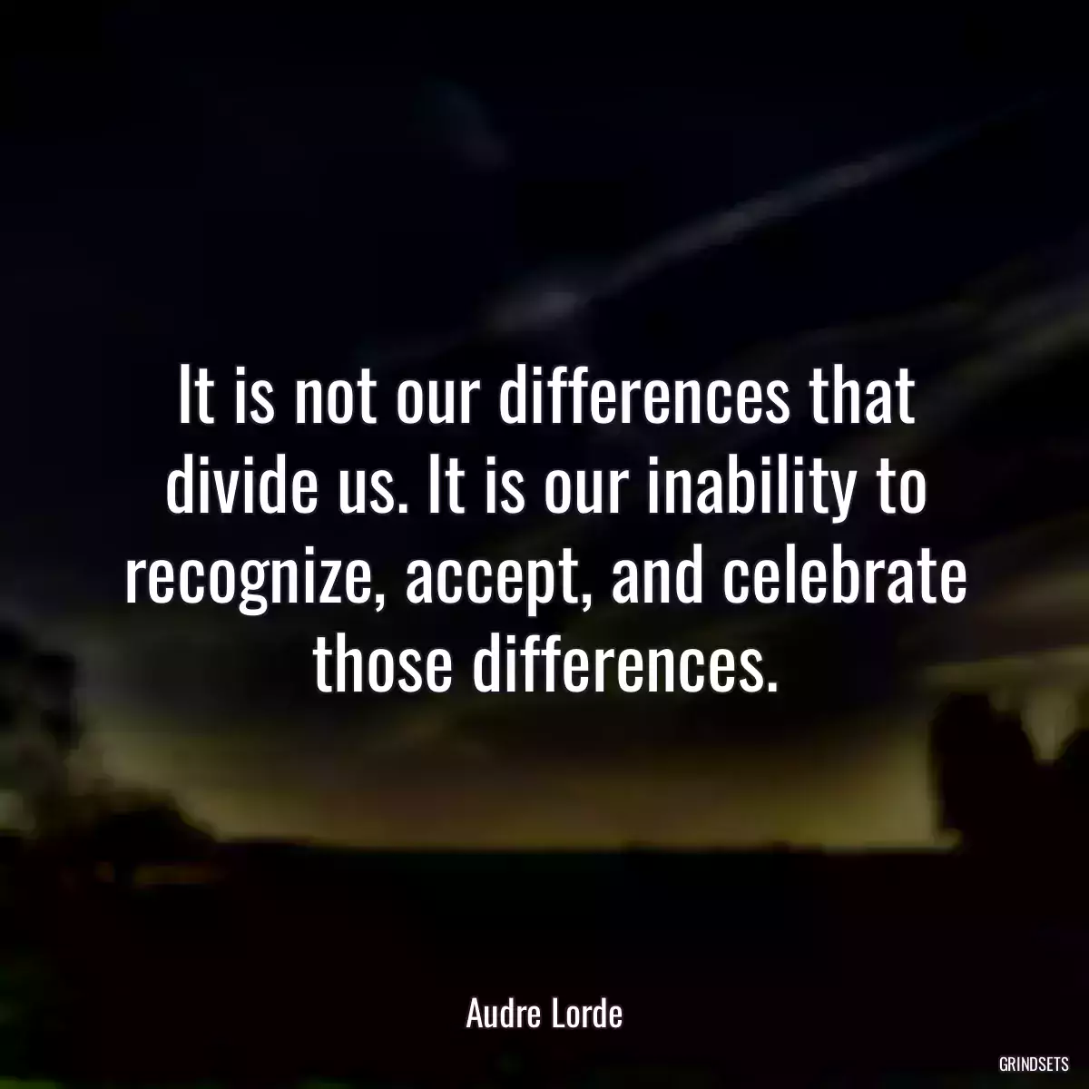 It is not our differences that divide us. It is our inability to recognize, accept, and celebrate those differences.