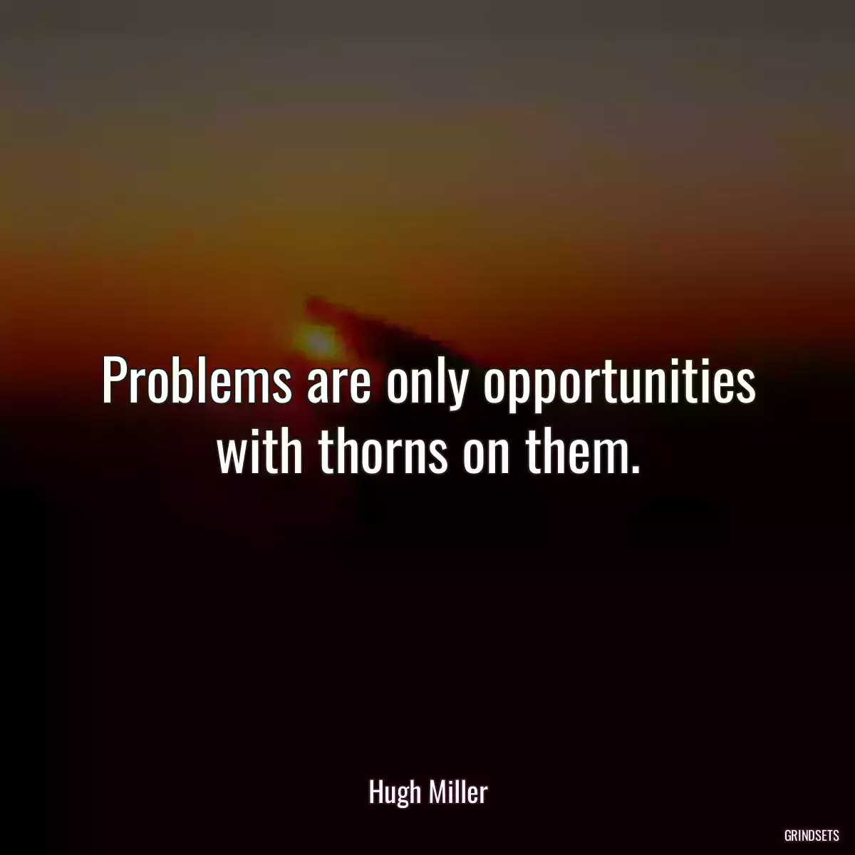 Problems are only opportunities with thorns on them.