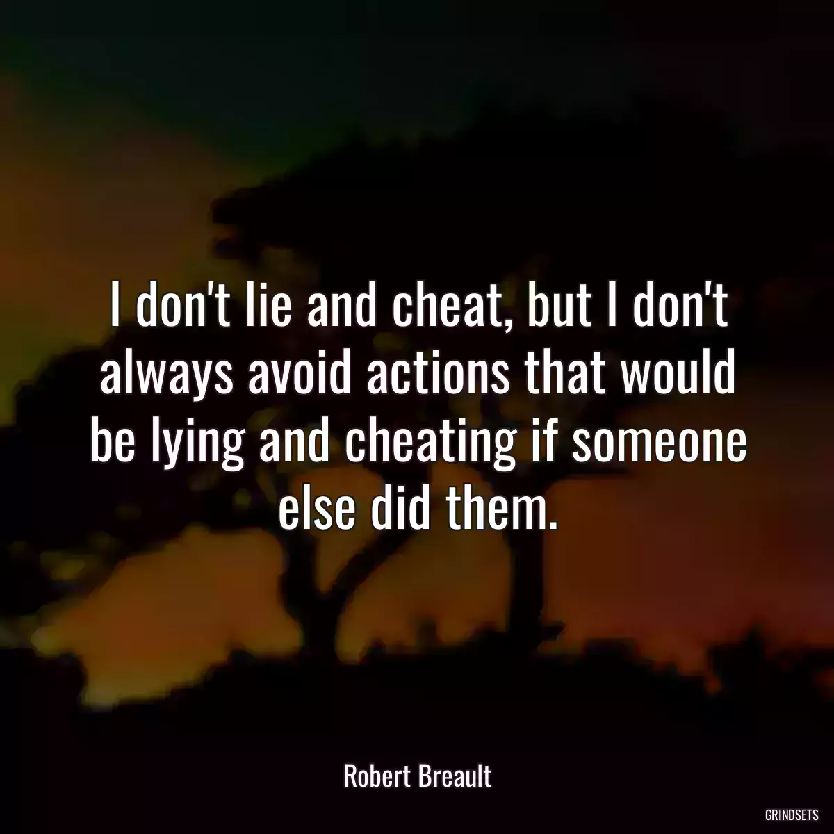 I don\'t lie and cheat, but I don\'t always avoid actions that would be lying and cheating if someone else did them.