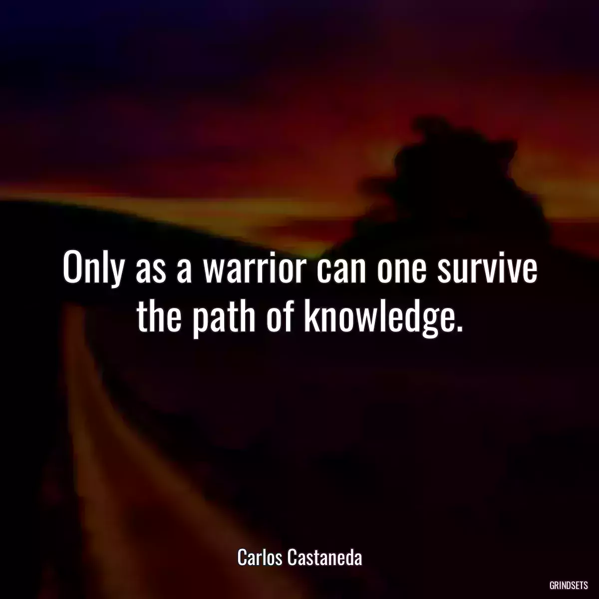 Only as a warrior can one survive the path of knowledge.
