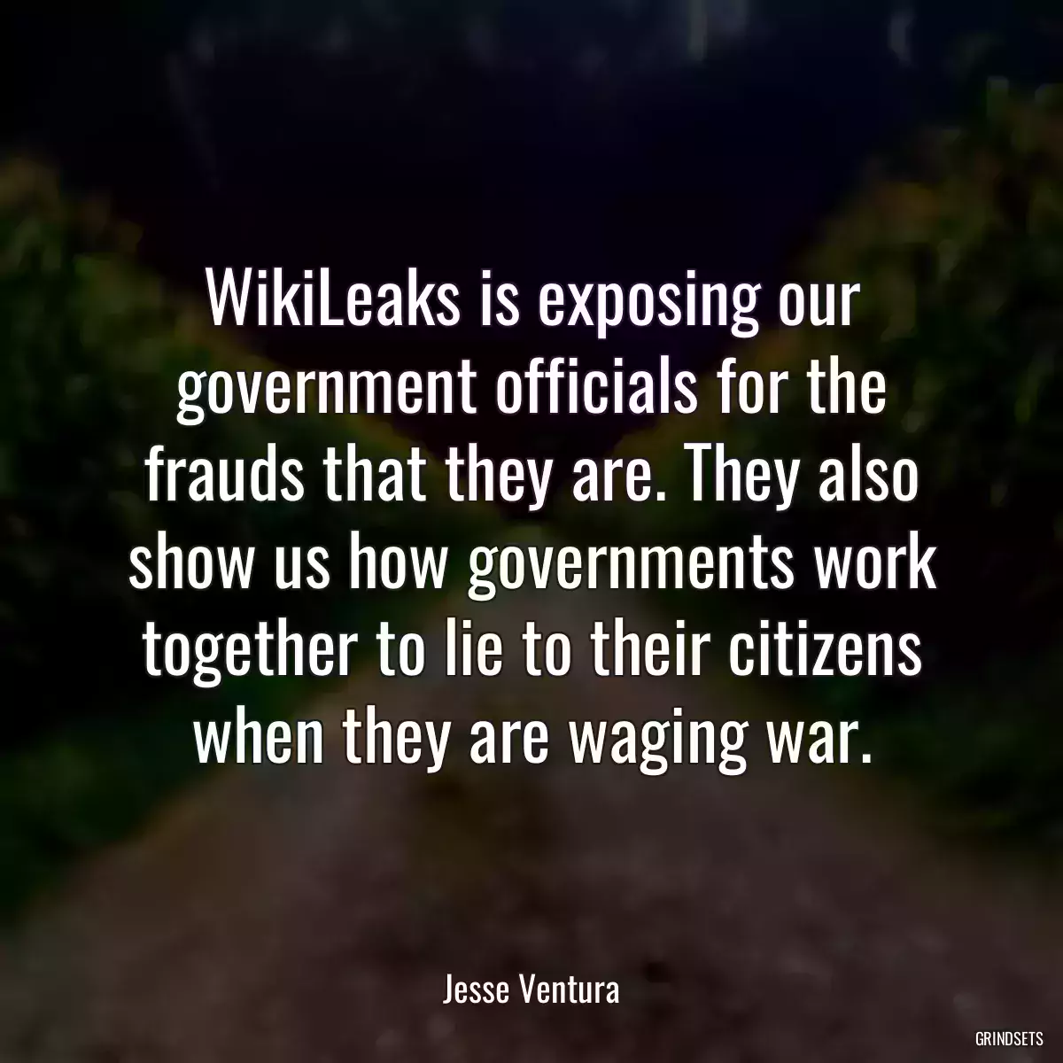 WikiLeaks is exposing our government officials for the frauds that they are. They also show us how governments work together to lie to their citizens when they are waging war.