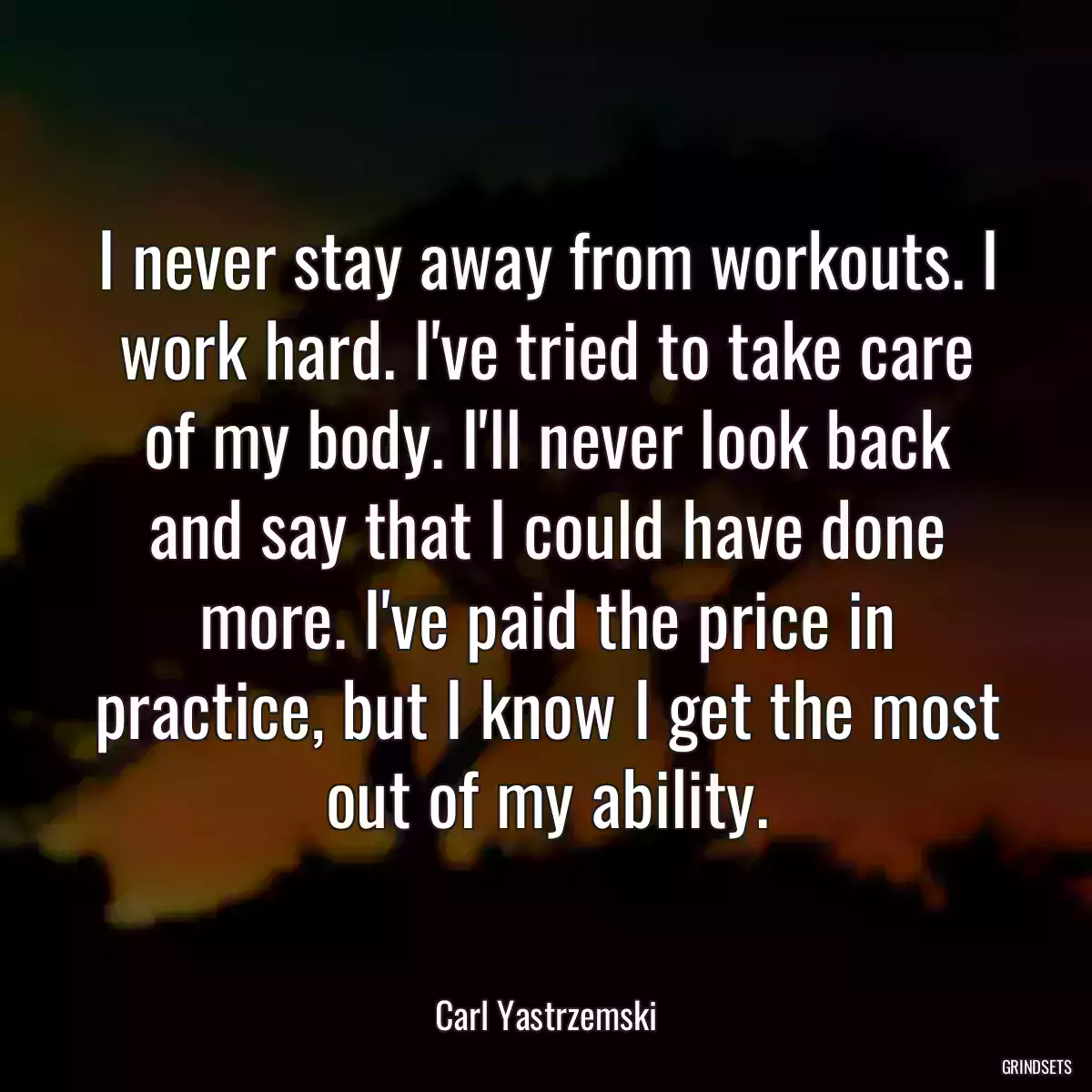 I never stay away from workouts. I work hard. I\'ve tried to take care of my body. I\'ll never look back and say that I could have done more. I\'ve paid the price in practice, but I know I get the most out of my ability.