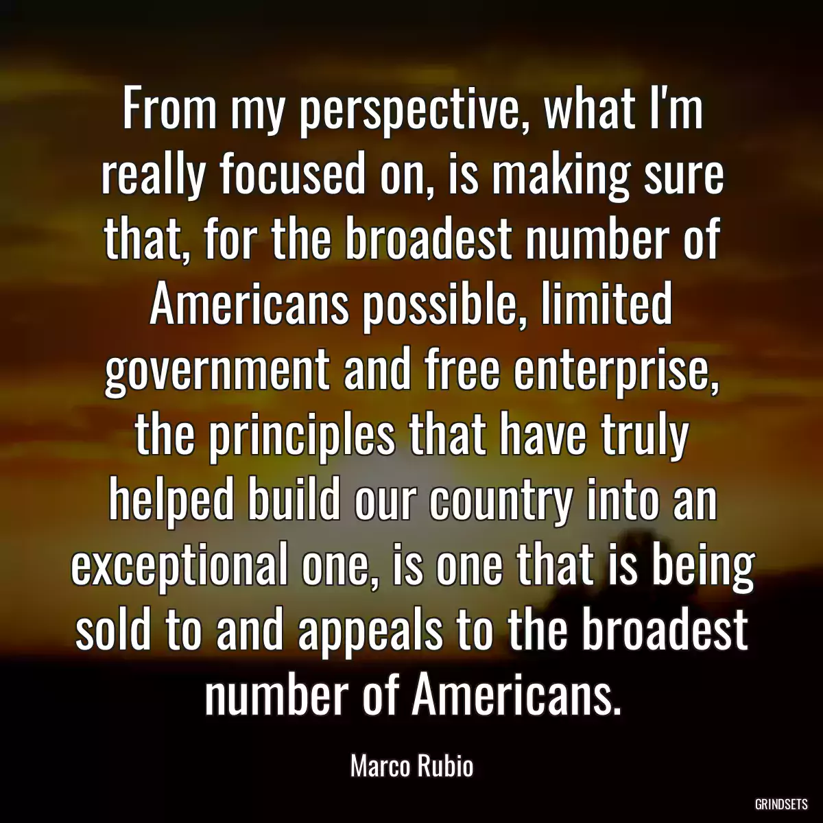 From my perspective, what I\'m really focused on, is making sure that, for the broadest number of Americans possible, limited government and free enterprise, the principles that have truly helped build our country into an exceptional one, is one that is being sold to and appeals to the broadest number of Americans.