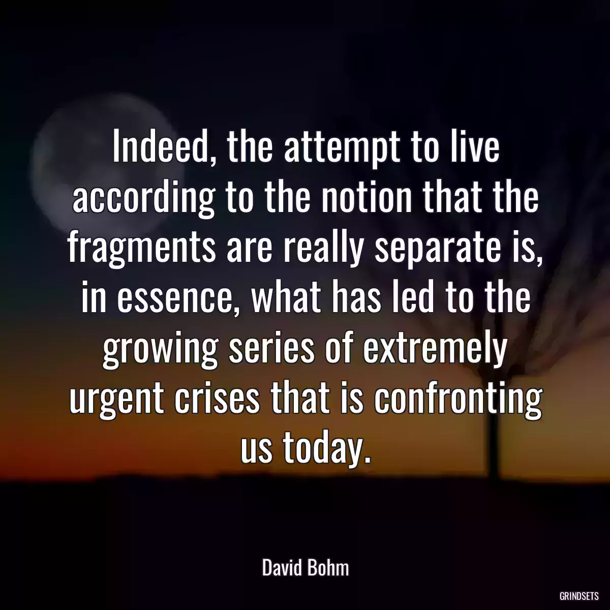 Indeed, the attempt to live according to the notion that the fragments are really separate is, in essence, what has led to the growing series of extremely urgent crises that is confronting us today.