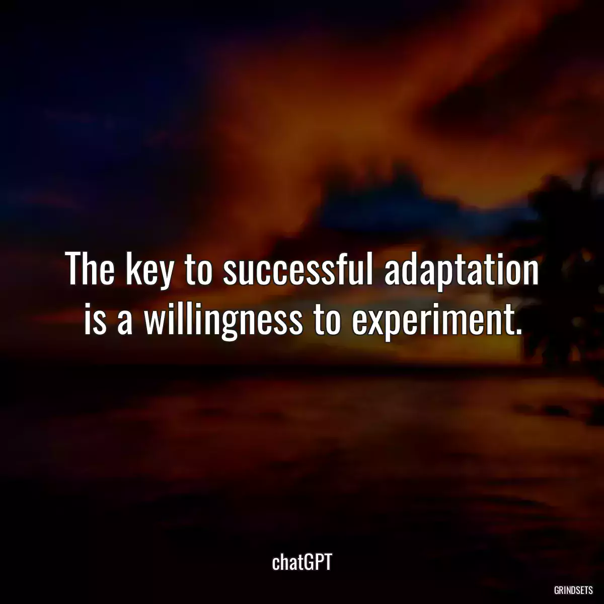 The key to successful adaptation is a willingness to experiment.