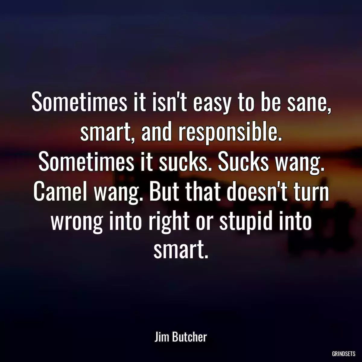 Sometimes it isn\'t easy to be sane, smart, and responsible. Sometimes it sucks. Sucks wang. Camel wang. But that doesn\'t turn wrong into right or stupid into smart.