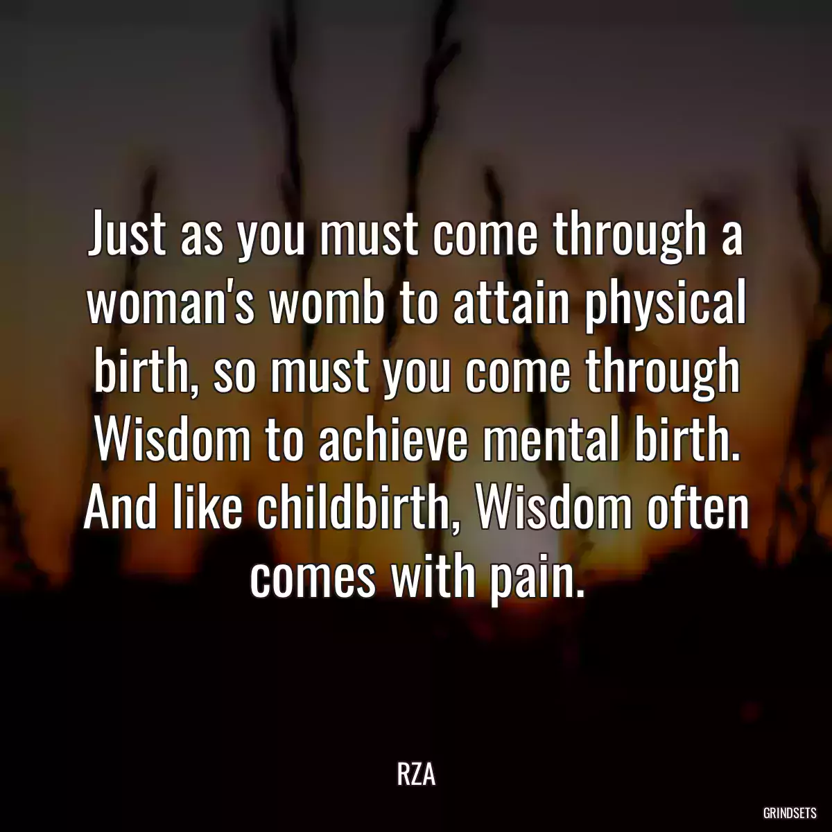 Just as you must come through a woman\'s womb to attain physical birth, so must you come through Wisdom to achieve mental birth. And like childbirth, Wisdom often comes with pain.
