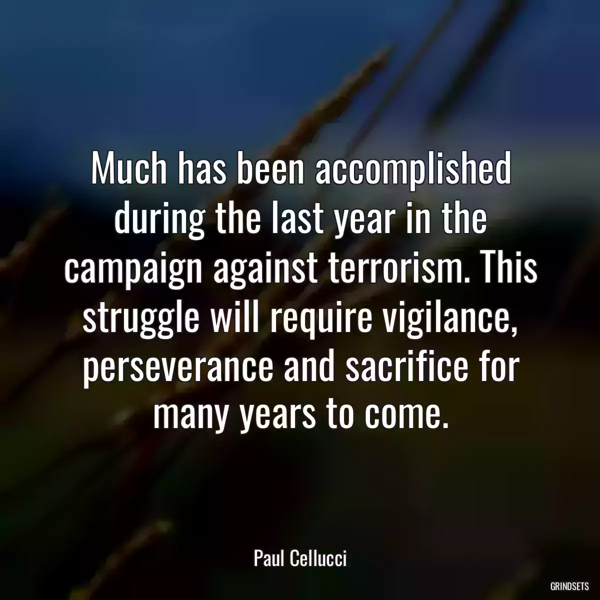 Much has been accomplished during the last year in the campaign against terrorism. This struggle will require vigilance, perseverance and sacrifice for many years to come.