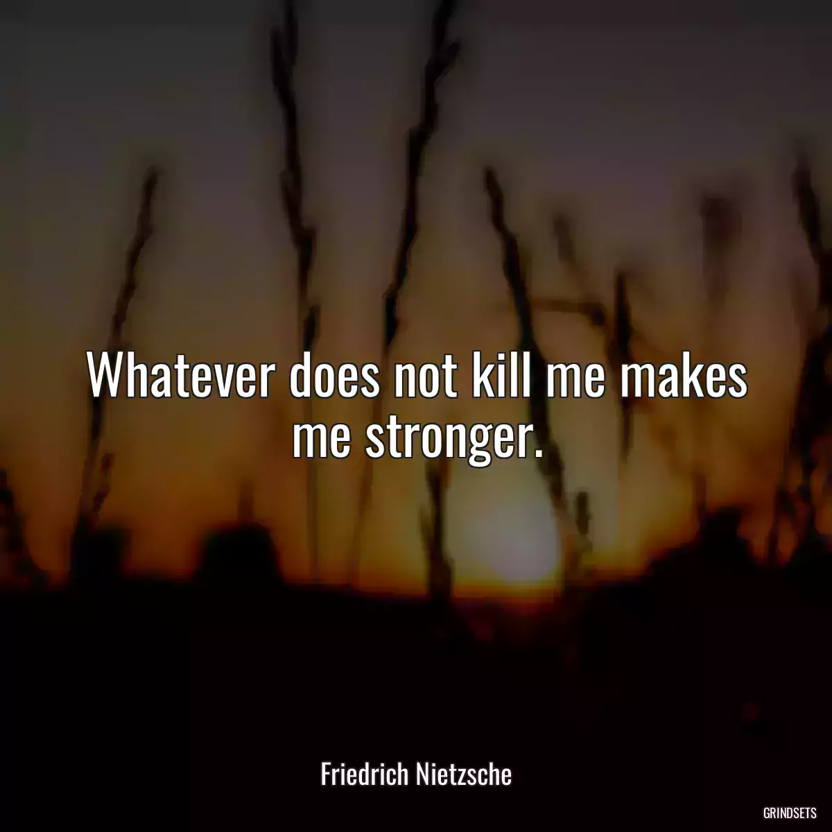 Whatever does not kill me makes me stronger.