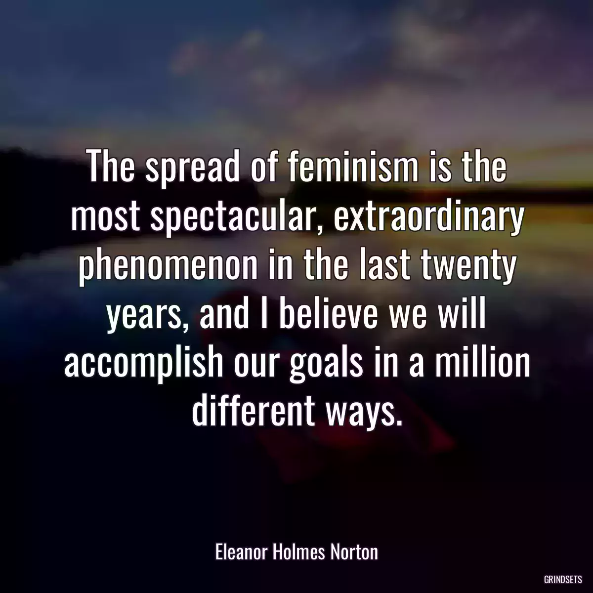 The spread of feminism is the most spectacular, extraordinary phenomenon in the last twenty years, and I believe we will accomplish our goals in a million different ways.