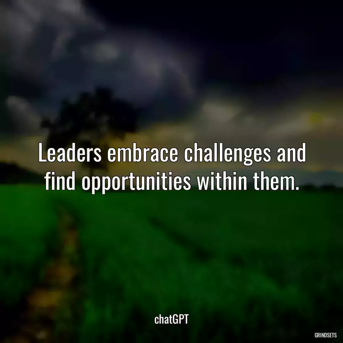 Leaders embrace challenges and find opportunities within them.