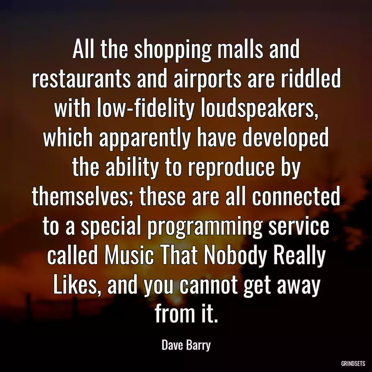 All the shopping malls and restaurants and airports are riddled with low-fidelity loudspeakers, which apparently have developed the ability to reproduce by themselves; these are all connected to a special programming service called Music That Nobody Really Likes, and you cannot get away from it.