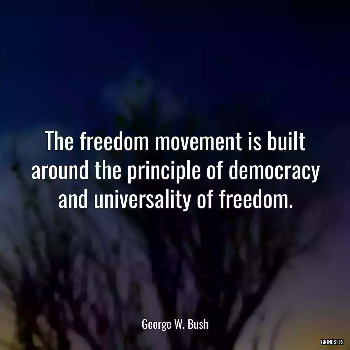 The freedom movement is built around the principle of democracy and universality of freedom.