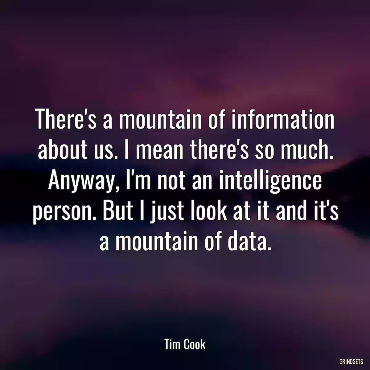 There\'s a mountain of information about us. I mean there\'s so much. Anyway, I\'m not an intelligence person. But I just look at it and it\'s a mountain of data.