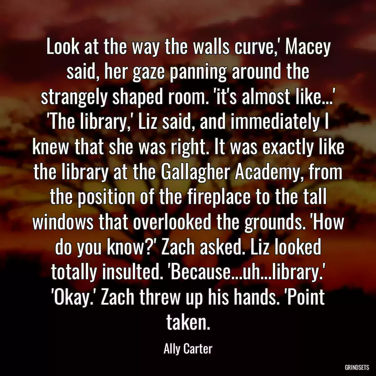 Look at the way the walls curve,\' Macey said, her gaze panning around the strangely shaped room. \'it\'s almost like...\' \'The library,\' Liz said, and immediately I knew that she was right. It was exactly like the library at the Gallagher Academy, from the position of the fireplace to the tall windows that overlooked the grounds. \'How do you know?\' Zach asked. Liz looked totally insulted. \'Because...uh...library.\' \'Okay.\' Zach threw up his hands. \'Point taken.