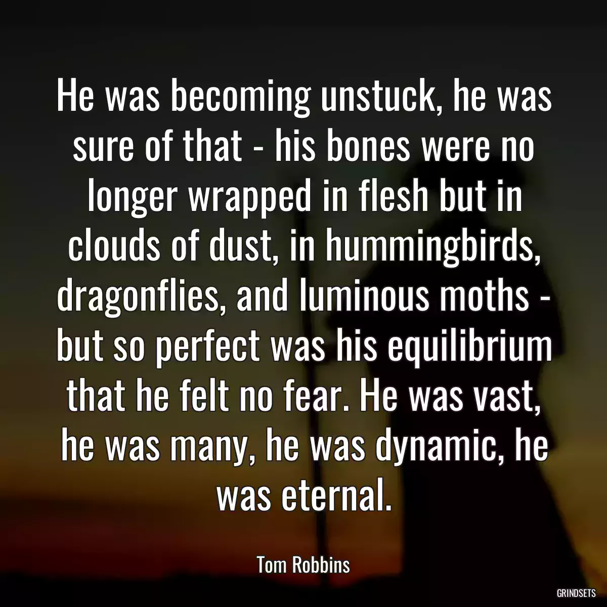 He was becoming unstuck, he was sure of that - his bones were no longer wrapped in flesh but in clouds of dust, in hummingbirds, dragonflies, and luminous moths - but so perfect was his equilibrium that he felt no fear. He was vast, he was many, he was dynamic, he was eternal.