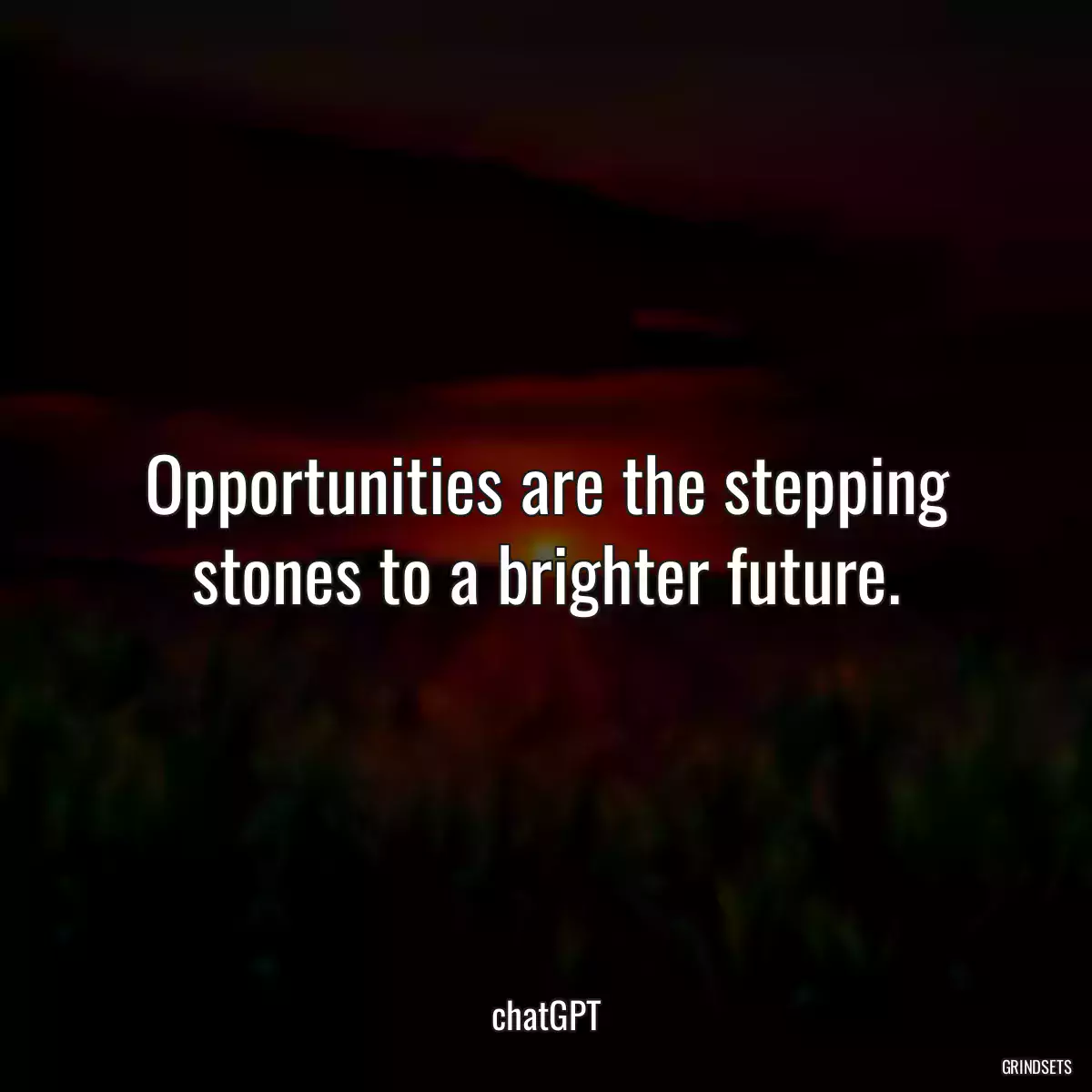 Opportunities are the stepping stones to a brighter future.