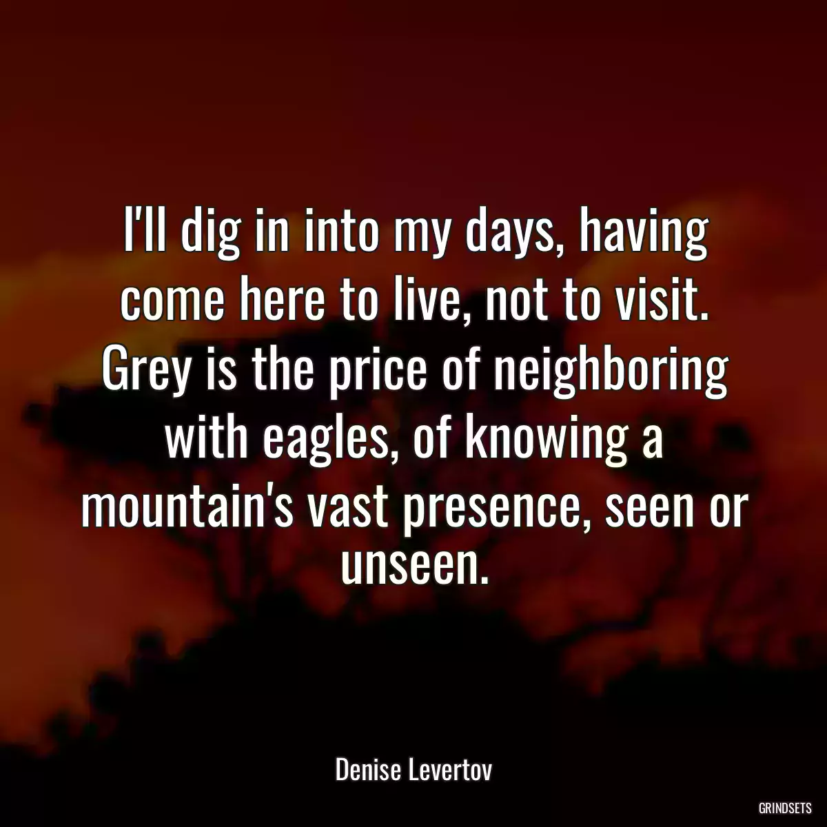 I\'ll dig in into my days, having come here to live, not to visit. Grey is the price of neighboring with eagles, of knowing a mountain\'s vast presence, seen or unseen.