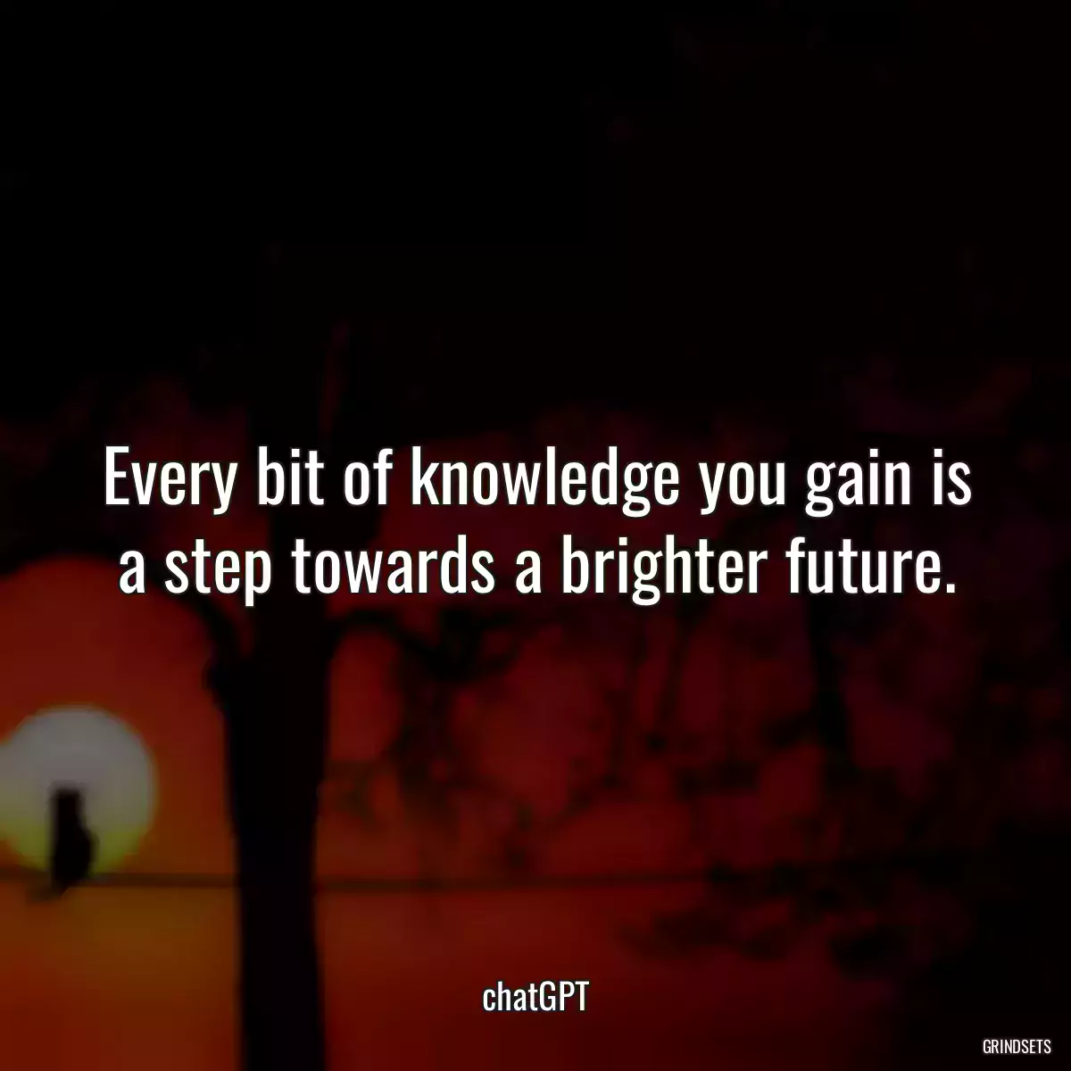 Every bit of knowledge you gain is a step towards a brighter future.