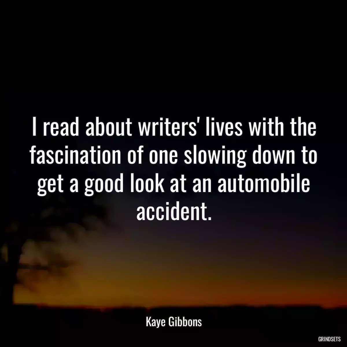 I read about writers\' lives with the fascination of one slowing down to get a good look at an automobile accident.