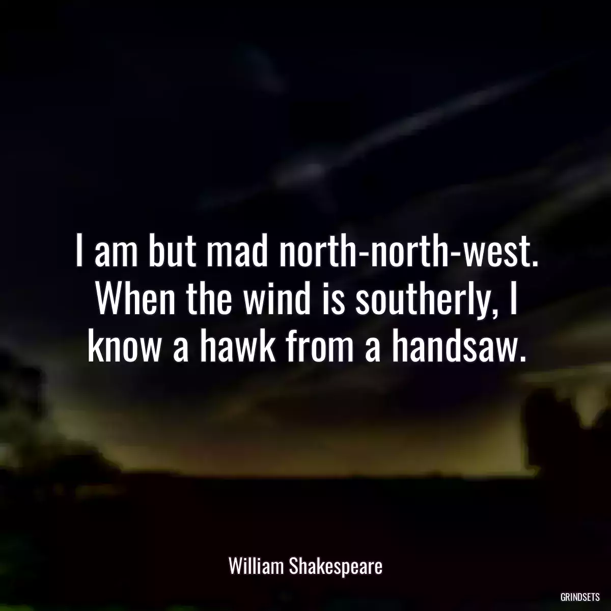 I am but mad north-north-west. When the wind is southerly, I know a hawk from a handsaw.