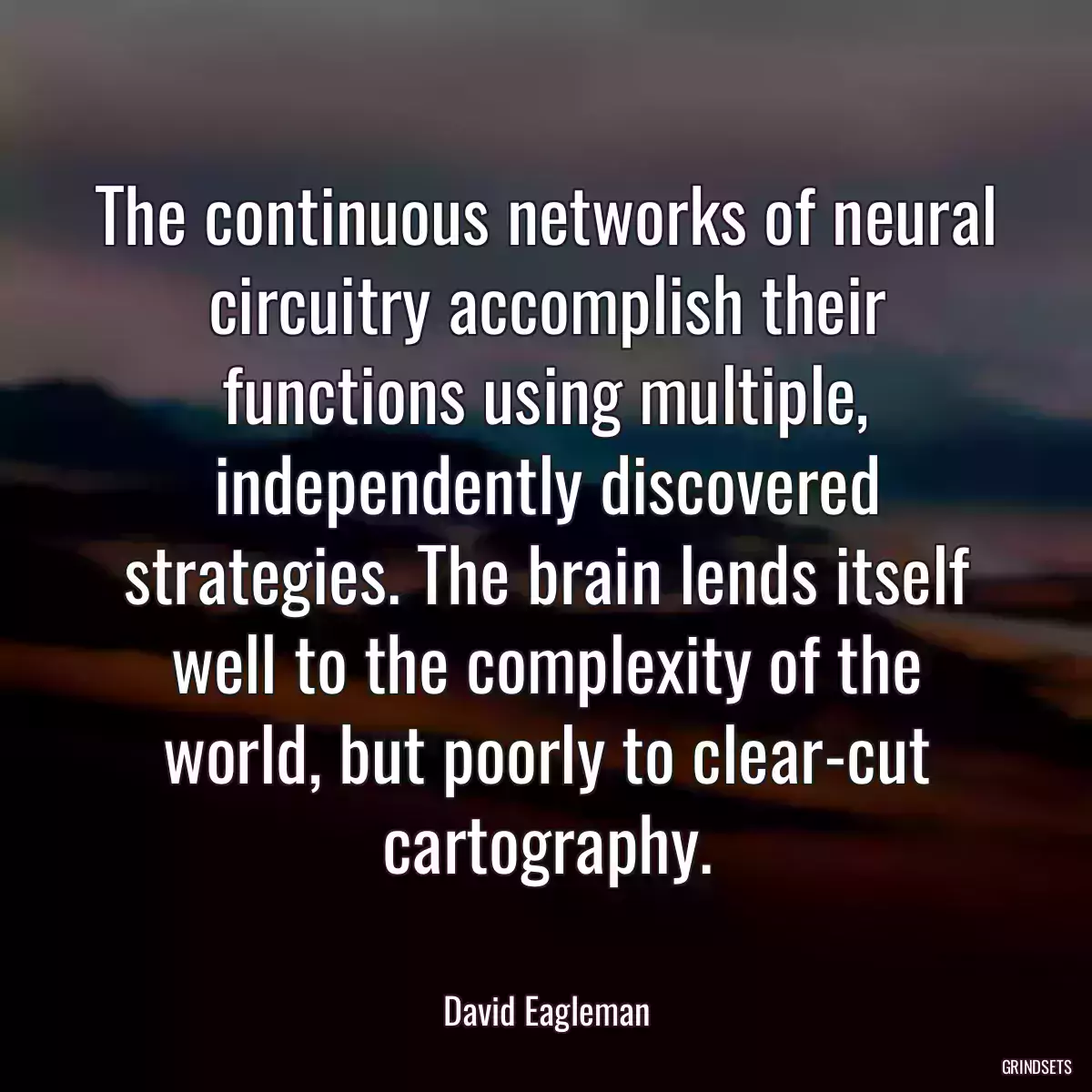 The continuous networks of neural circuitry accomplish their functions using multiple, independently discovered strategies. The brain lends itself well to the complexity of the world, but poorly to clear-cut cartography.