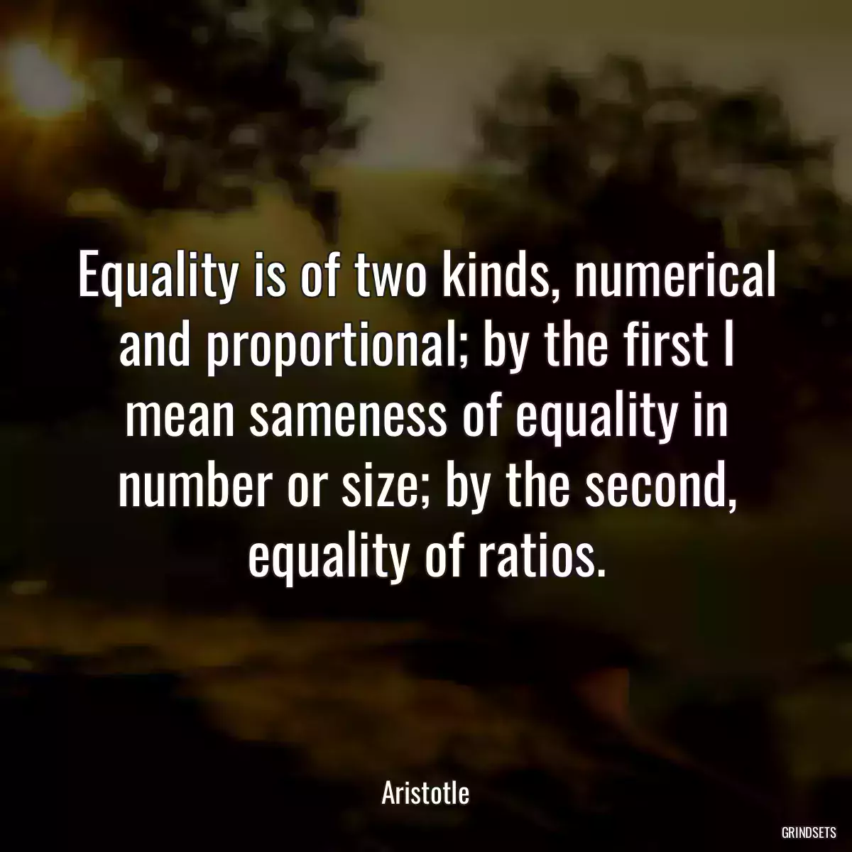 Equality is of two kinds, numerical and proportional; by the first I mean sameness of equality in number or size; by the second, equality of ratios.